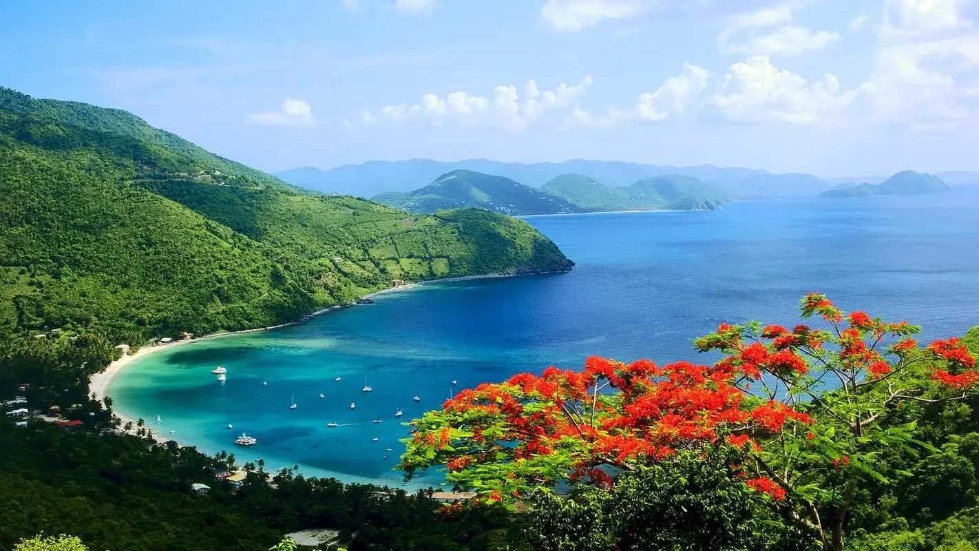 高效高标准高性能